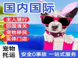成都天府航空货运国际宠物托运 【国